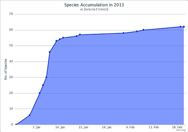 2013 Species accumulation for the patch