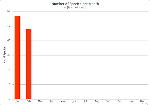 2013 Species per month for the patch