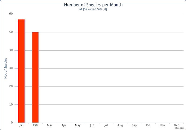 My species per month on the patch, from BirdTrack